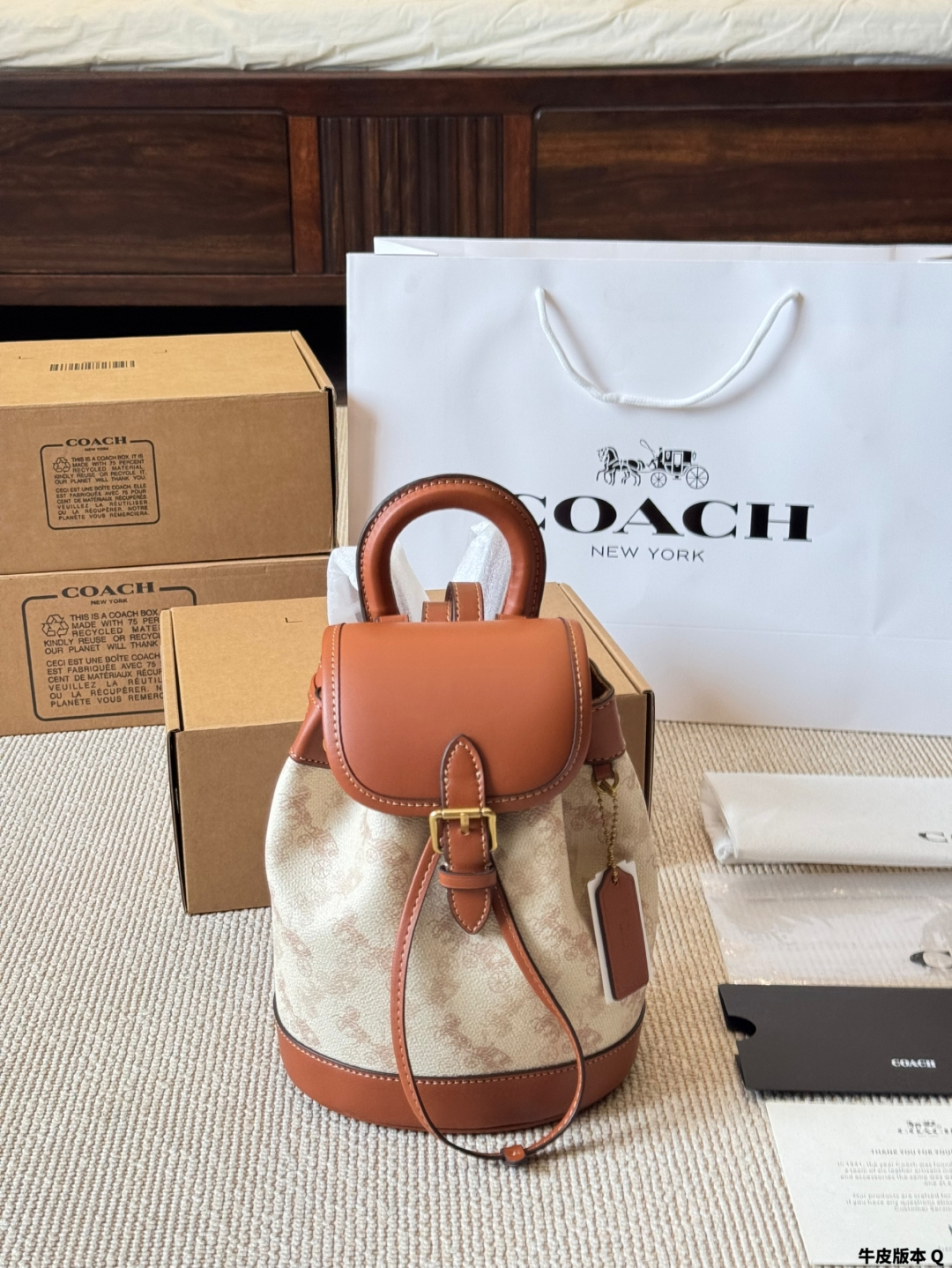 coach bag 423